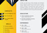 design a professional job winning resume or cv bio data